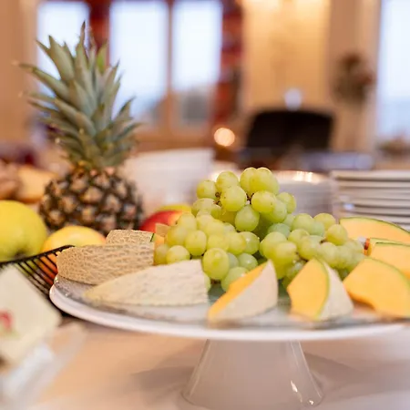 Panoramahof Ziegler Hotel